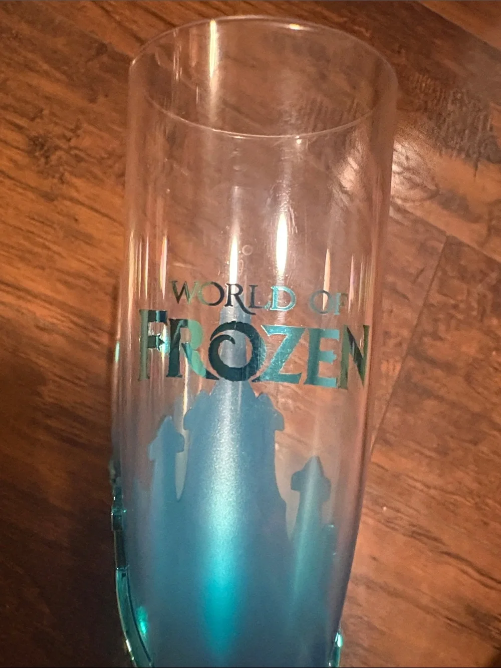 Disneyland PARIS World of FROZEN Teal Champagne Flutes - Set of 2 (exclusive)